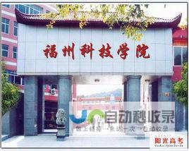 福州专业网站建设服务：提升品牌价值，助力企业发展